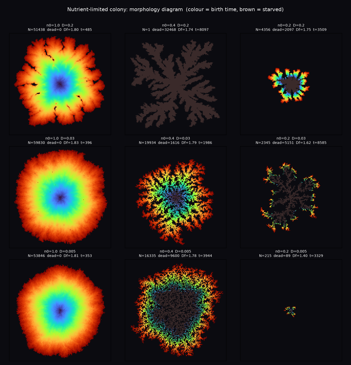 A three by three grid of simulated colonies: rich fast-diffusing nutrient gives compact discs, poor slow-diffusing nutrient gives sparse DLA-like branches